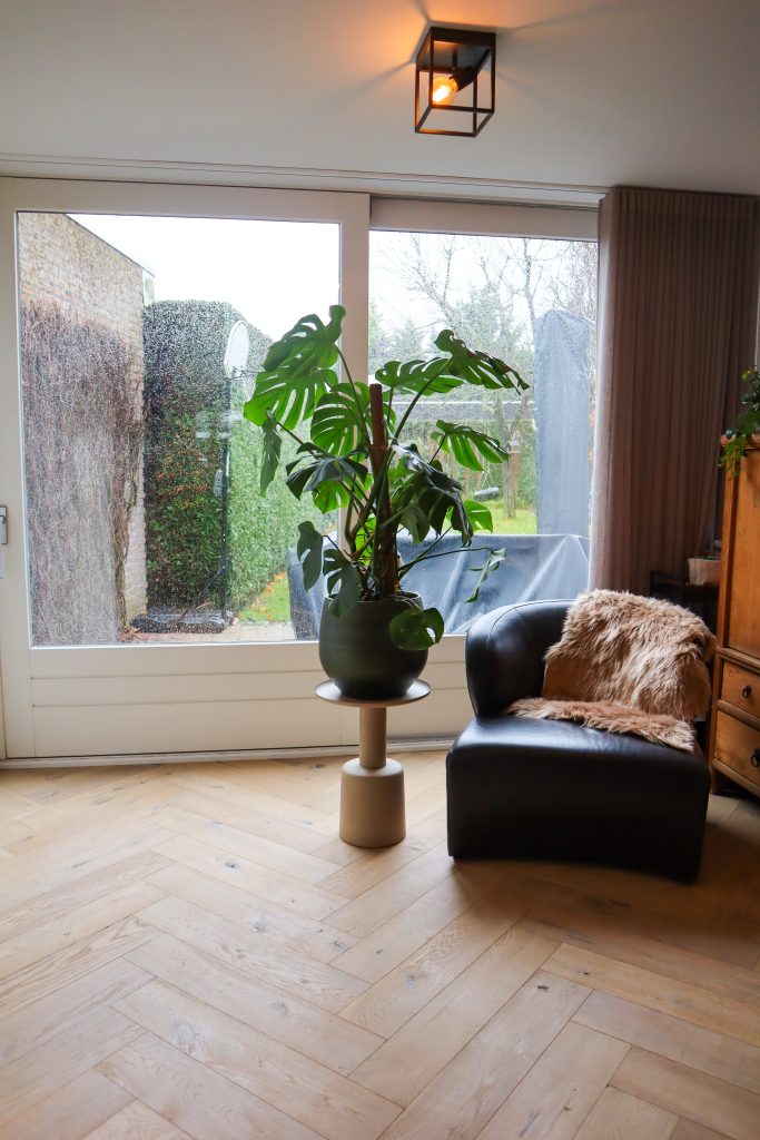 Kamer met grote plant en zwarte fauteuil.