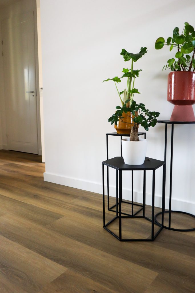 Moderne plantenstandaard met kamerplanten in woonkamer